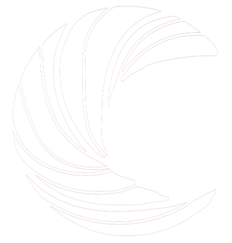 CARLOS BUXADERAS REPUESTOS TEXTILES